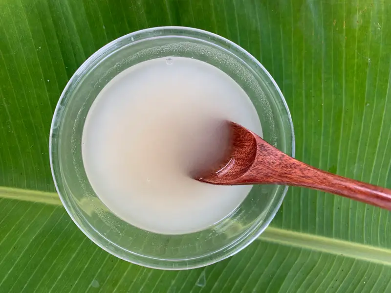 Soaked agar-agar powder mixed with water in a small bowl.