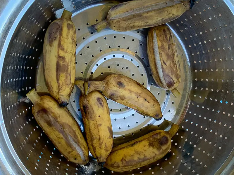 Boiled Thai bananas draining in a colander.