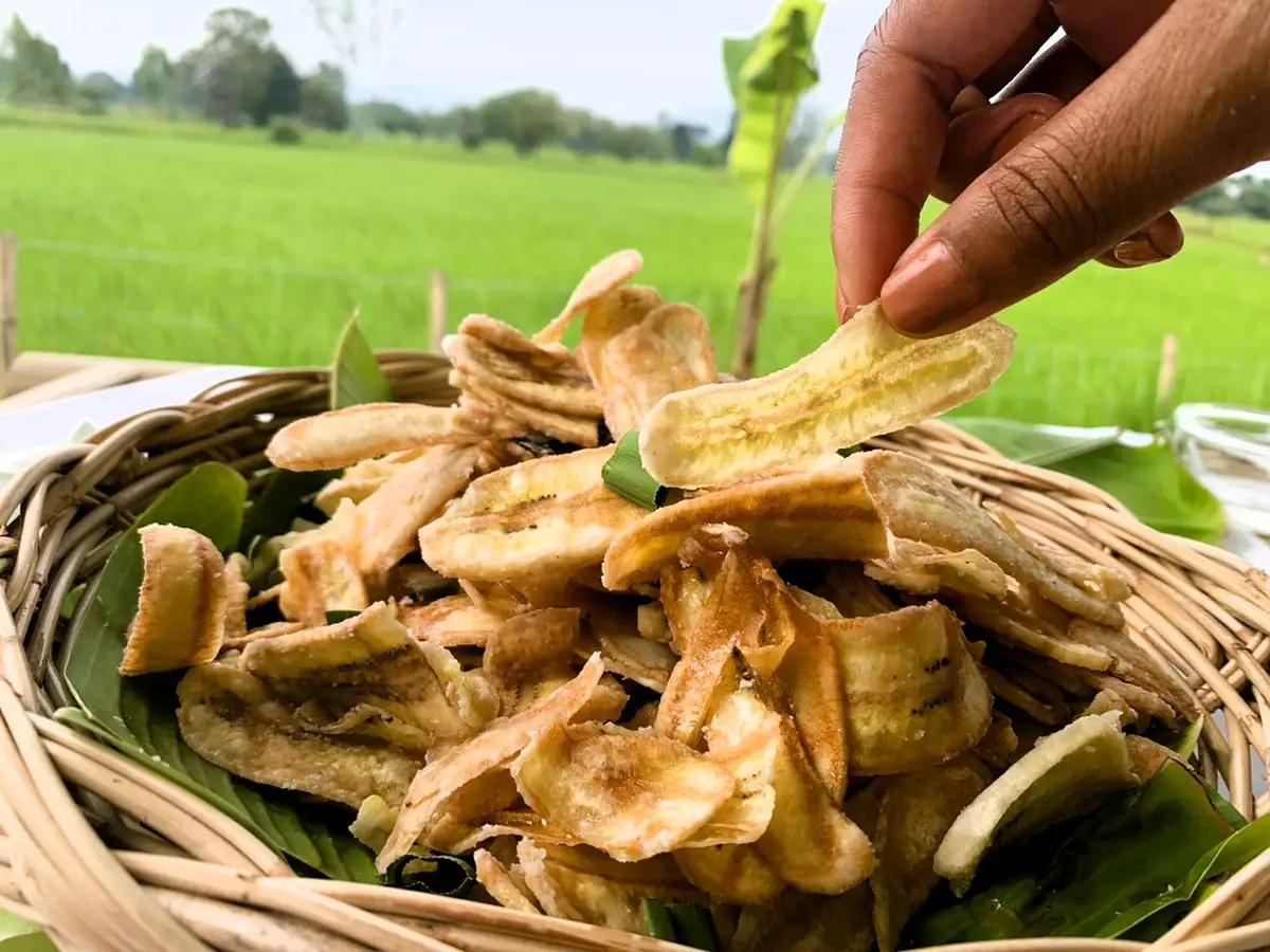 A hand picking a crispy Thai fried banana chip from a woven basket, with a lush green rice field in the background.