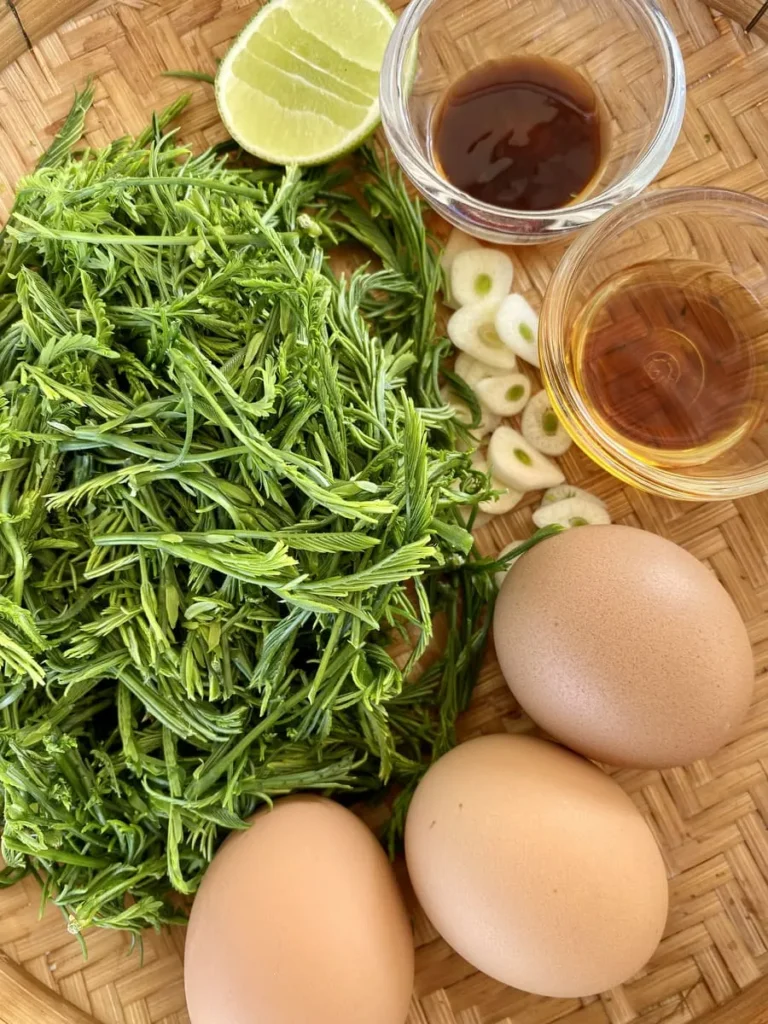 Thai Cha Om Omelette Recipe Acacia Leaves Egg