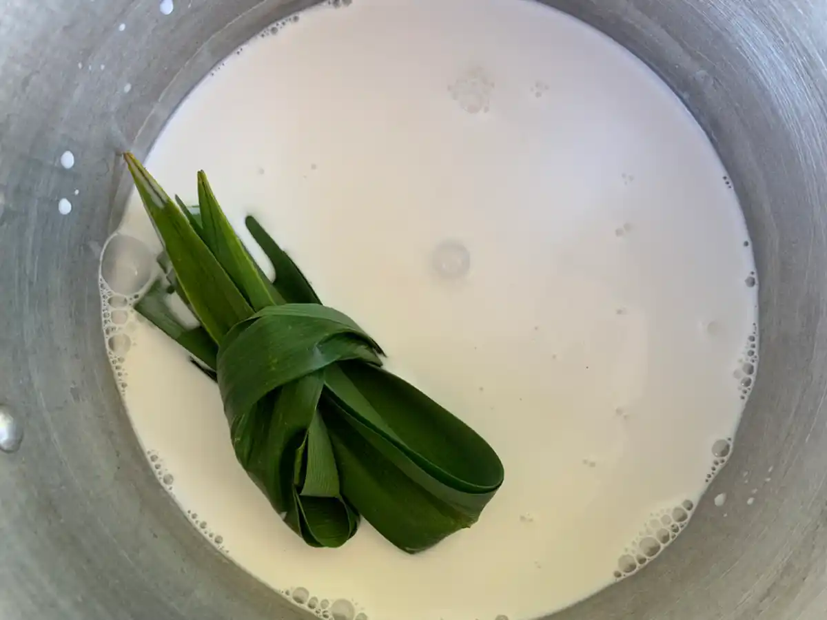 Pandan leaves in coconut milk.