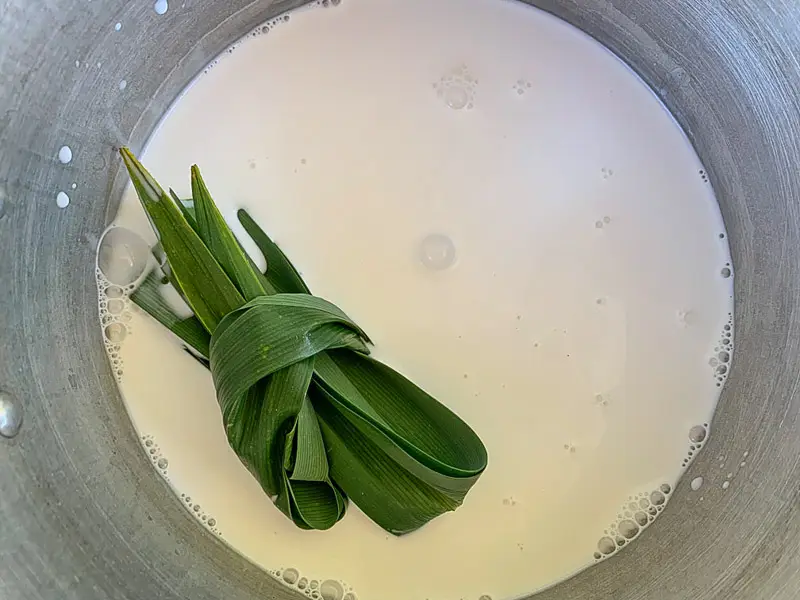 Pandan leaves tied in a knot simmering in coconut milk.