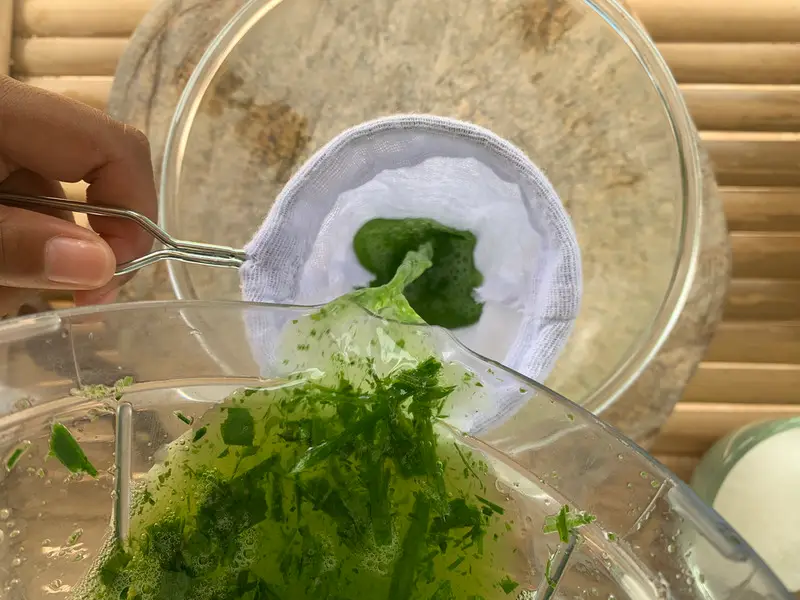 Straining blended pandan mixture through a cloth to extract juice.