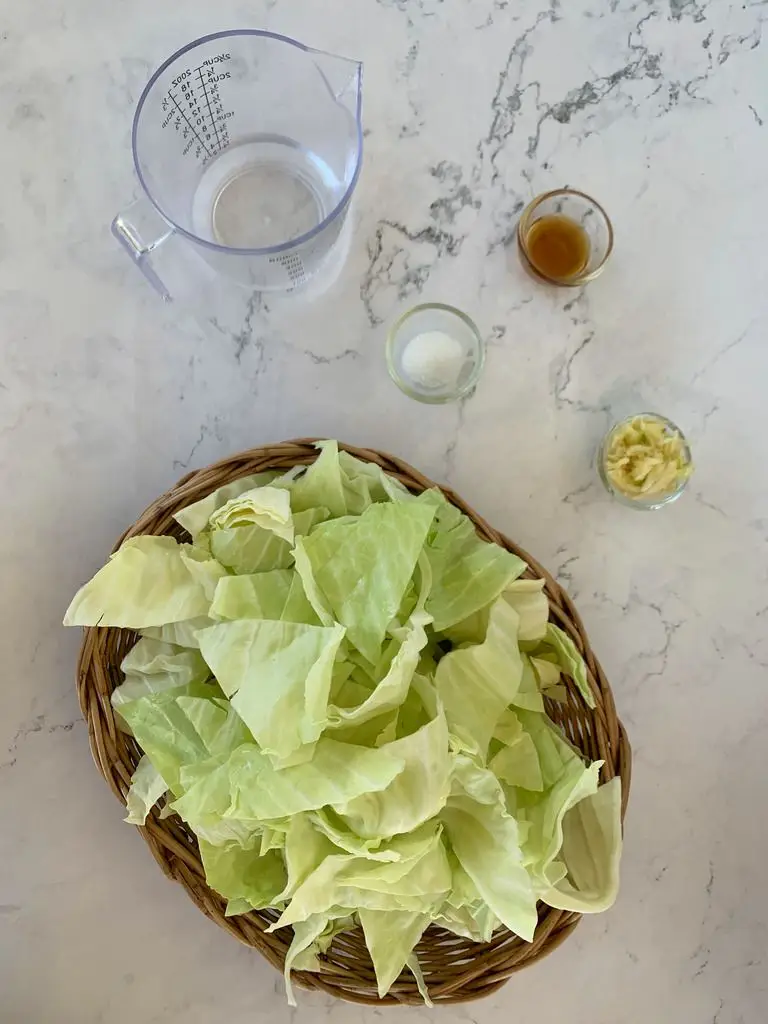 Top-view of ingredients for Thai cabbage recipe: green cabbage, white sugar, fish sauce, water, and garlic.