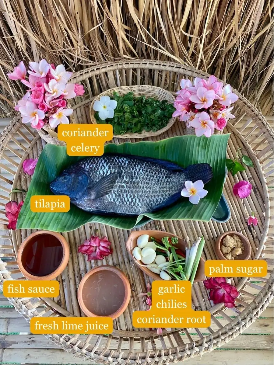 A tilapia fish on top of a banana leaf, celery and coriander on a bamboo cup, fish sauce, lime juice, garlic, chilies, coriander root, and palm sugar in clay pots on top of a bamboo serving tray with flowers.