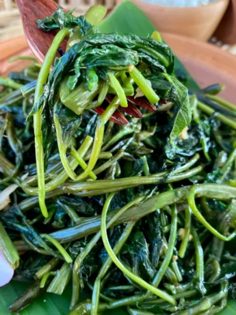 Close-up of pad pak boong, glistening stir-fried morning glory with green stems and wilted leaves.