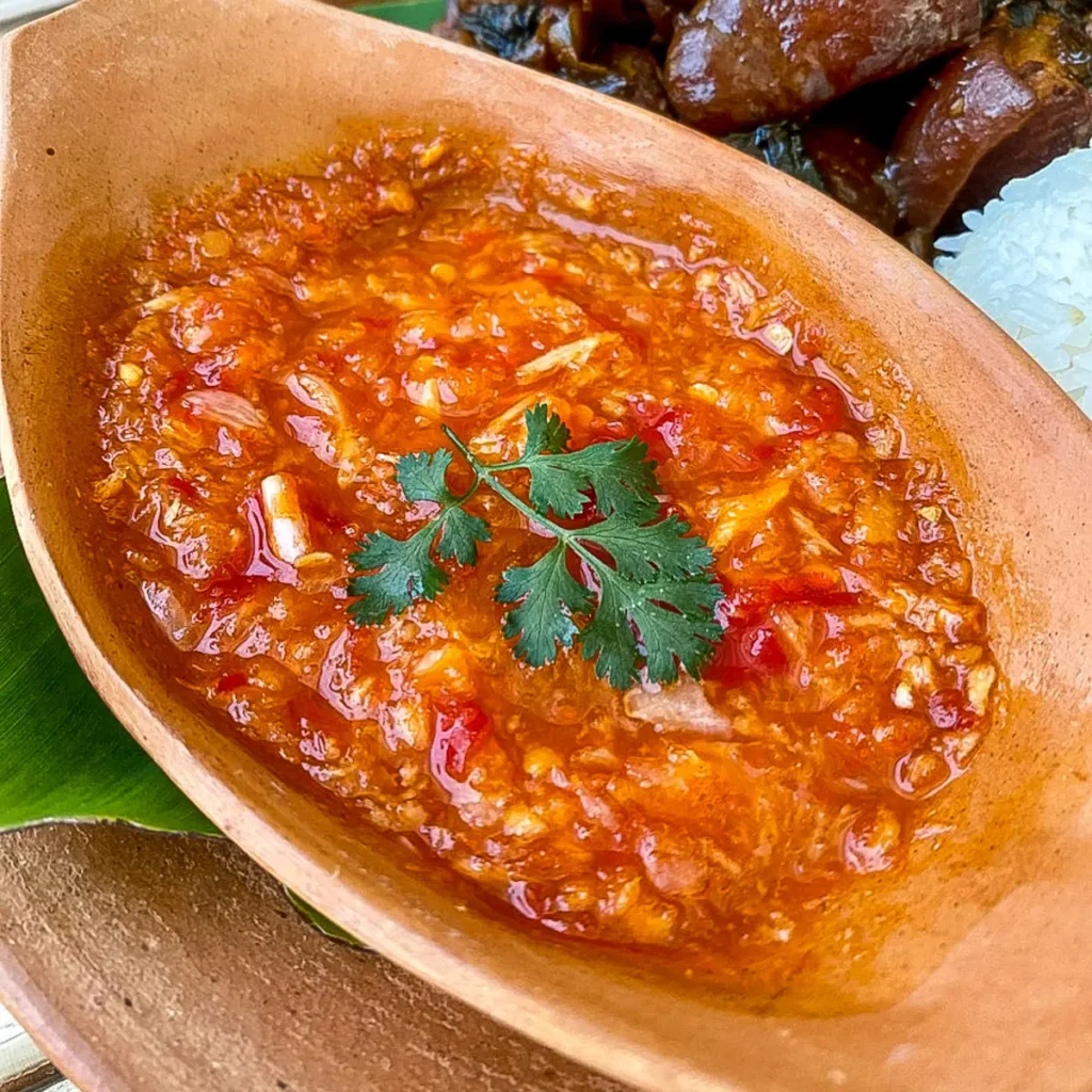 Close-up of spicy vinegar dipping sauce in a terracotta bowl garnished with fresh cilantro.