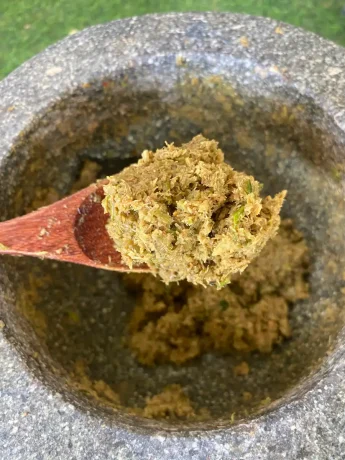 Thai green curry paste in wooden spoon over granite mortar.