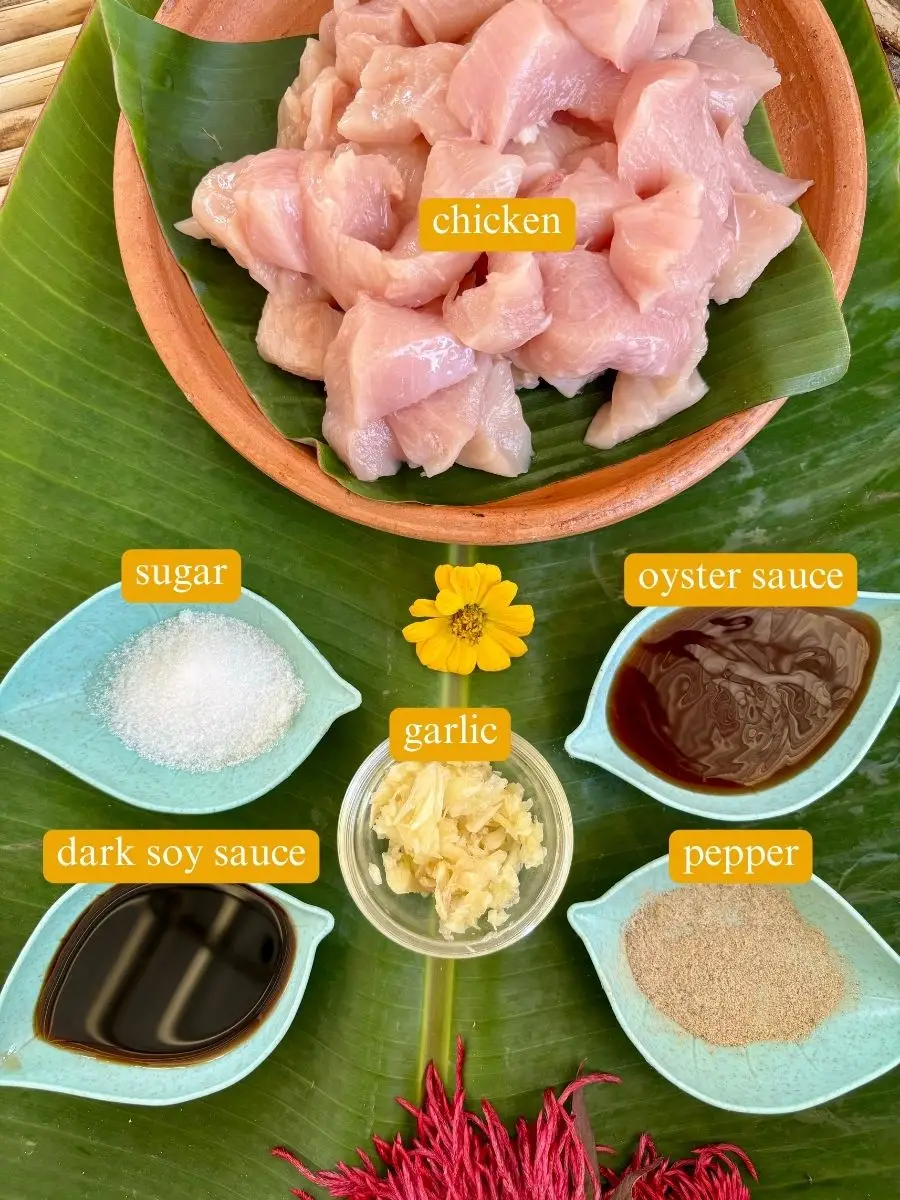 Ingredients for Thai garlic chicken recipe labeled: sliced chicken, white sugar, garlic, oyster sauce, white pepper, and dark soy sauce.