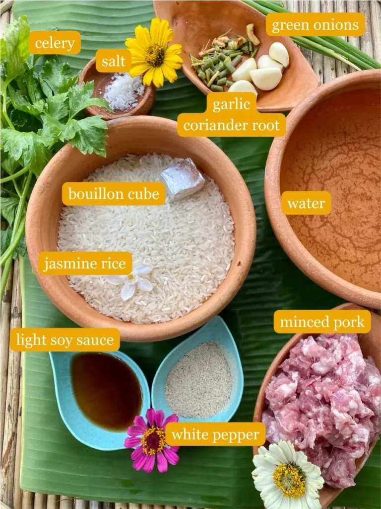 Ingredients for khao tom soup labeled: Salt, celery, green onions, garlic, coriander root, bouillon cube, jasmine rice, water, minced pork, soy sauce, and white pepper.