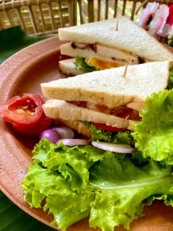 2 Halves of spicy grilled chicken sandwich with white bread, tomatoes, lettuce, grilled chicken, and a fried egg, served on a clay dish, accompanied by an array of fresh vegetables.