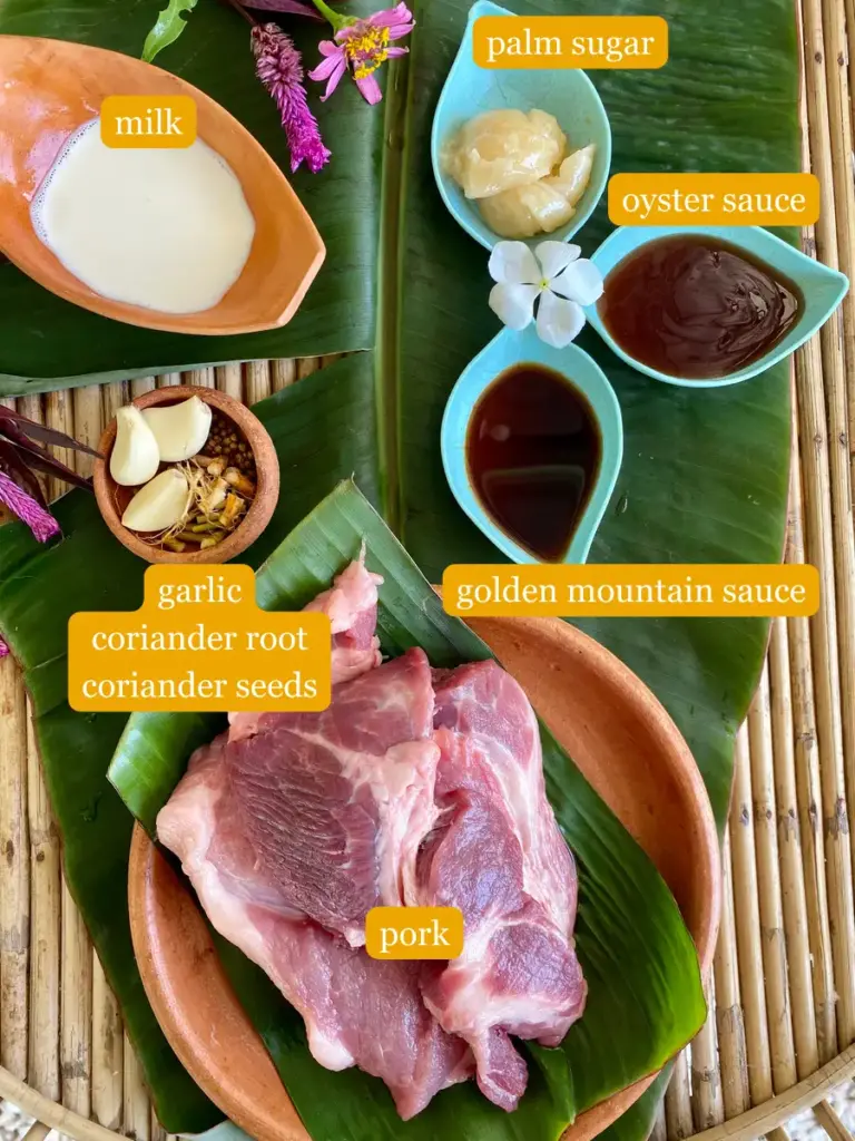 Ingredients for moo yang recipe labeled; milk, palm sugar, oyster sauce, golden mountain sauce, garlic, coriander root, coriander seeds, and pork.
