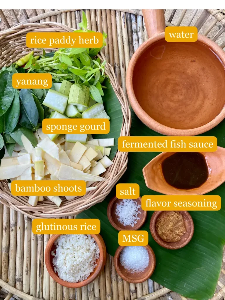 Bird's eye view of recipe ingredients; fermented fish sauce, salt, flavor seasoning, MSG, glutinous rice, bamboo shoots, sponge groud, yanang, water, and rice paddy herb.
