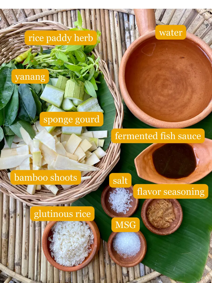 Bird's eye view of recipe ingredients; fermented fish sauce, salt, flavor seasoning, MSG, glutinous rice, bamboo shoots, sponge groud, yanang, water, and rice paddy herb.