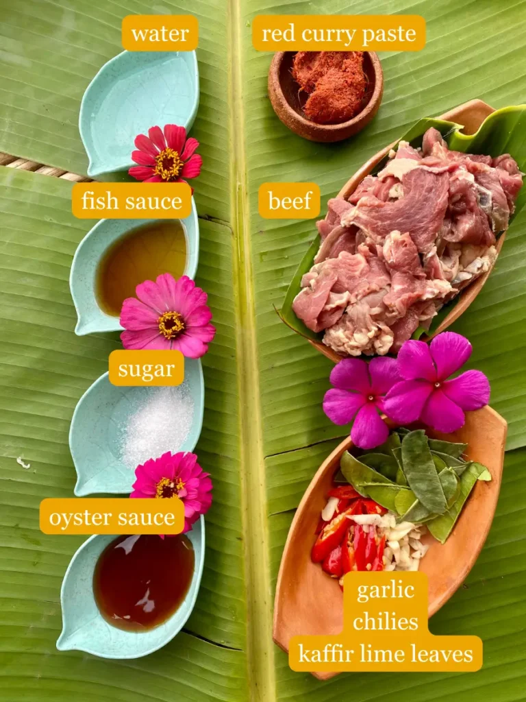 Bird's eye view of recipe ingredients on a banana leaf; water, red curry paste, fish sauce, beef, sugar, oyster sauce, garlic, chilies, and kaffir lime leaves.