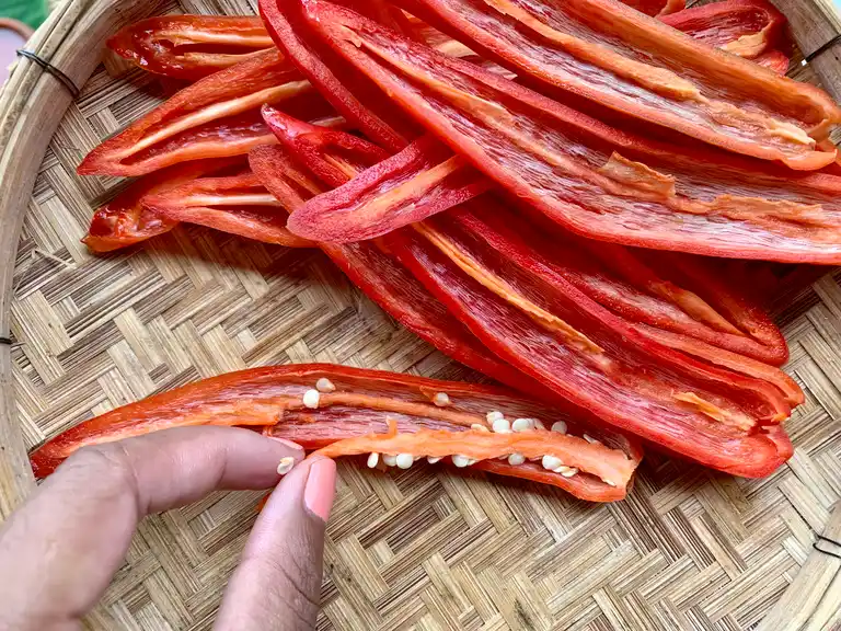 Removing seeds from Thai spur chilies.