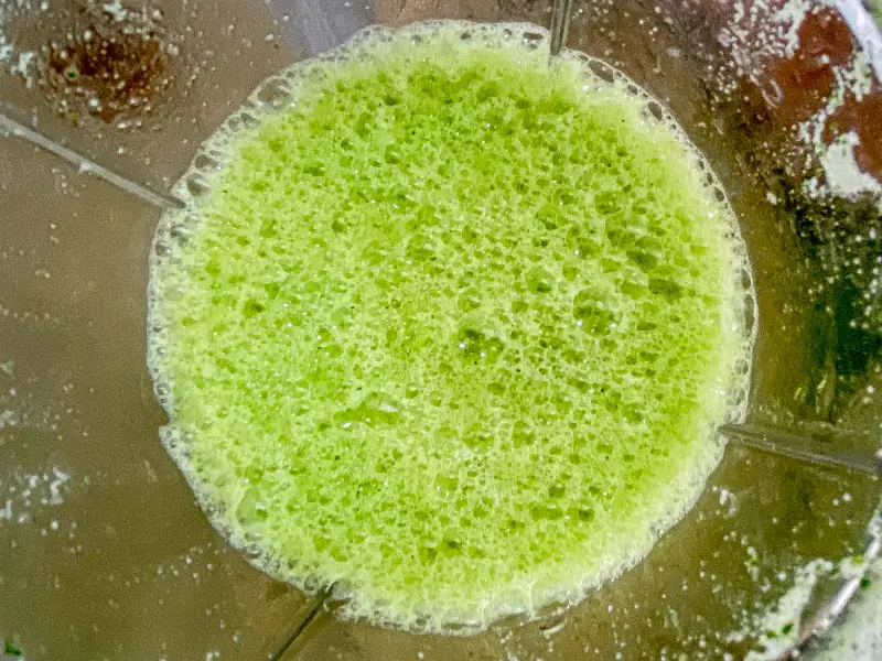 Top-view of blended yanang leaves, water, and glutinous rice in a blender.