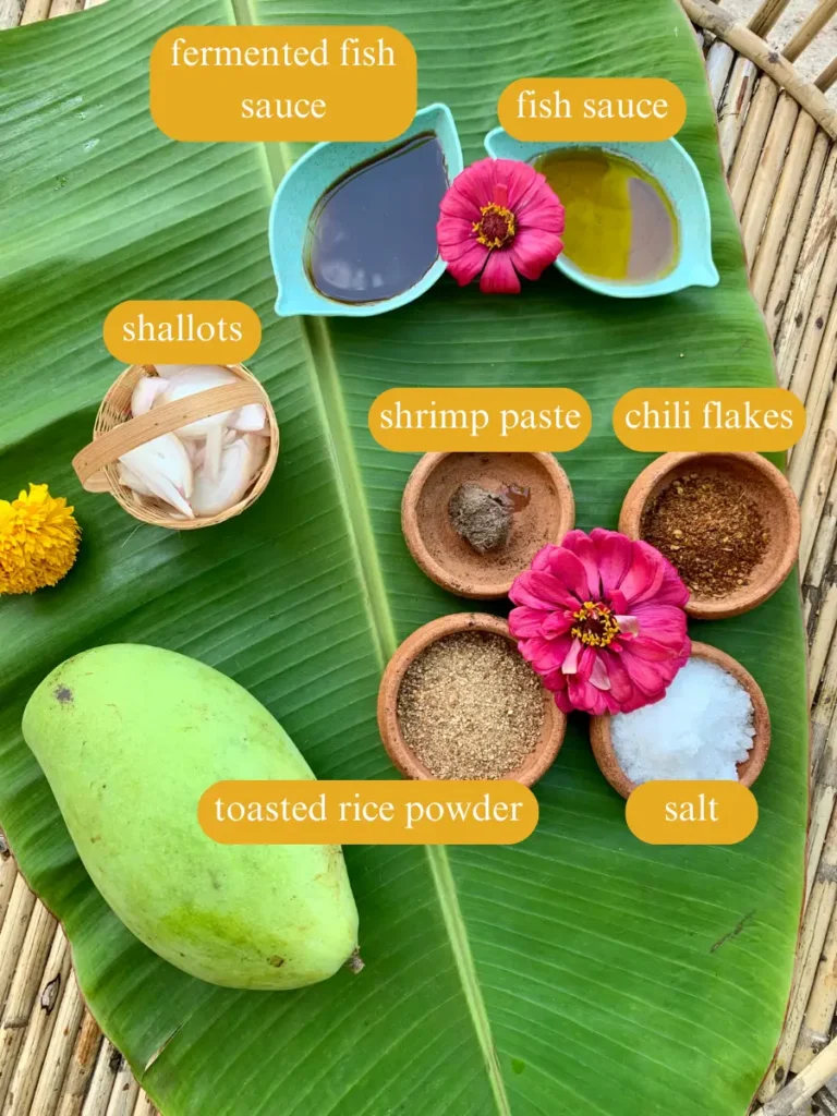Bird's eye view of recipe ingredients: fermented fish sauce with fish sauce, shallots, shrimp paste, chili flakes, a green mango, and toasted rice powder on a banana leaf.