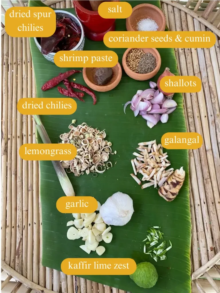 Bird's eye view of Thai panang curry paste ingredients; salt, dried spur chilies, coriander seeds, cumin, shrimp paste, shallots, dried chilies, lemongrass, galangal,  garlic, and kaffir lime zest.