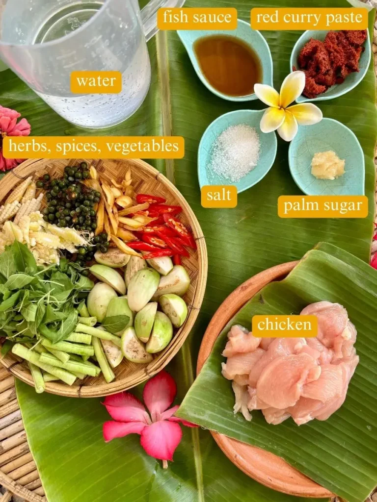 Top-view of ingredients for Thai jungle curry: water, fish sauce, red curry paste, salt, palm sugar, herbs, spices, vegetables, and chicken.