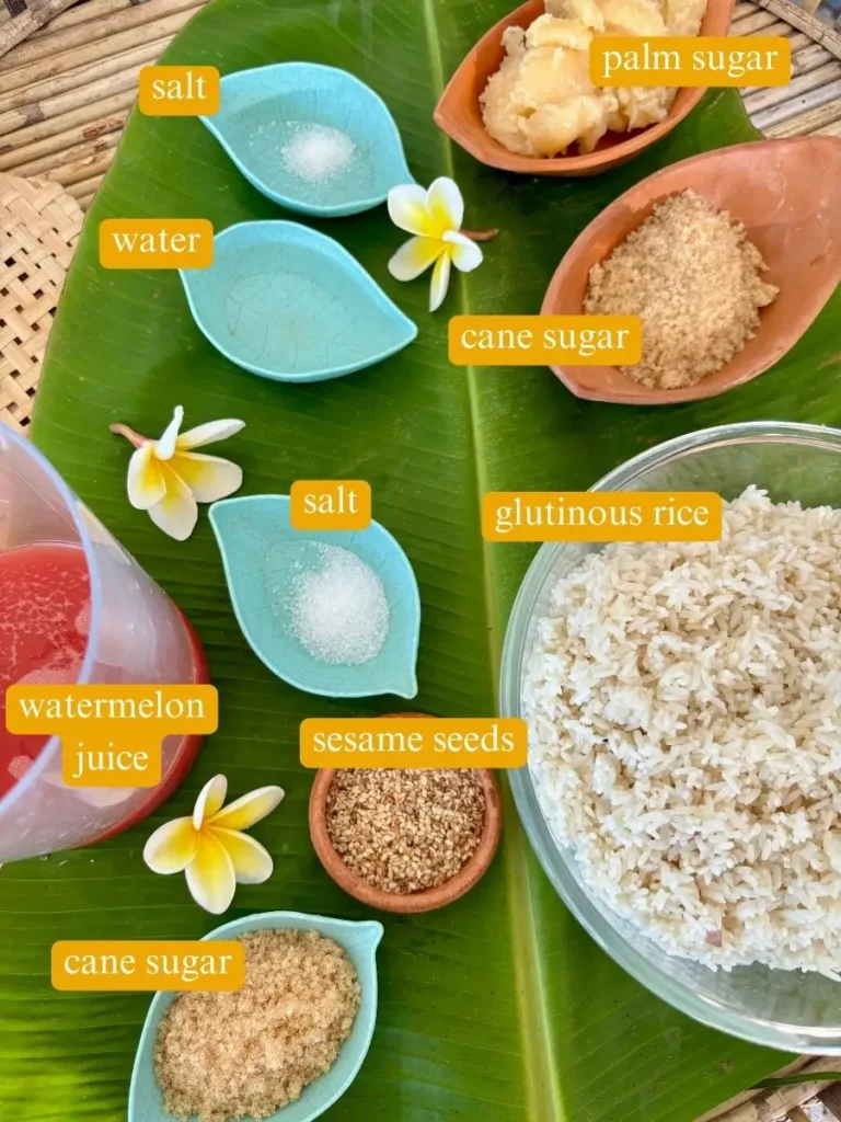 Top-view of ingredients for khao taen: grains of glutinous rice, toasted sesame seeds, palm cane sugar, watermelon juice, and more.