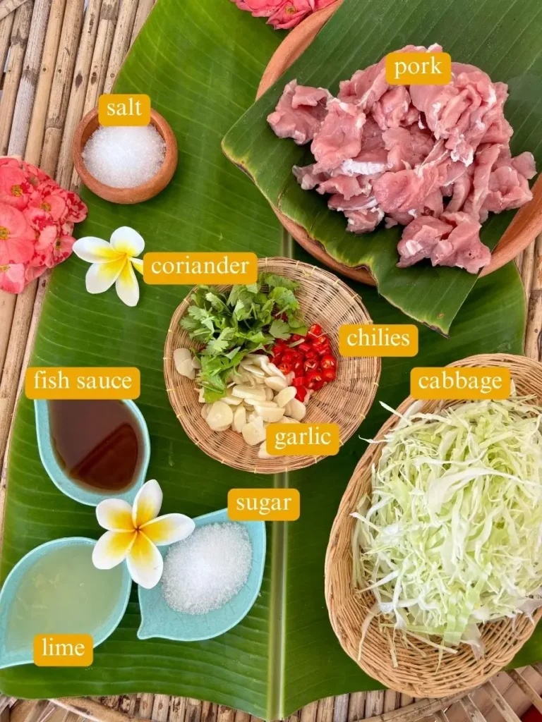 Top-view of recipe ingredients with tender pork slices, chilies, shredded cabbage, coriander, and seasonings with lime, fish sauce, sugar, and salt.