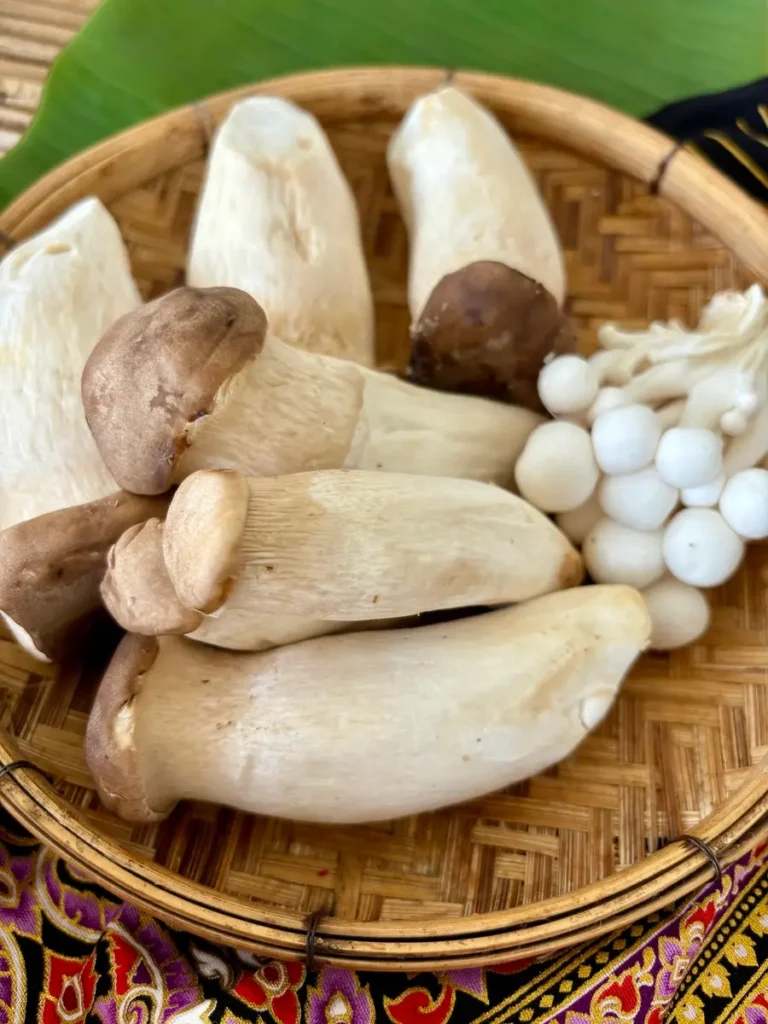 Assortment of fresh mushrooms, with king oyster mushrooms and white shimeji.
