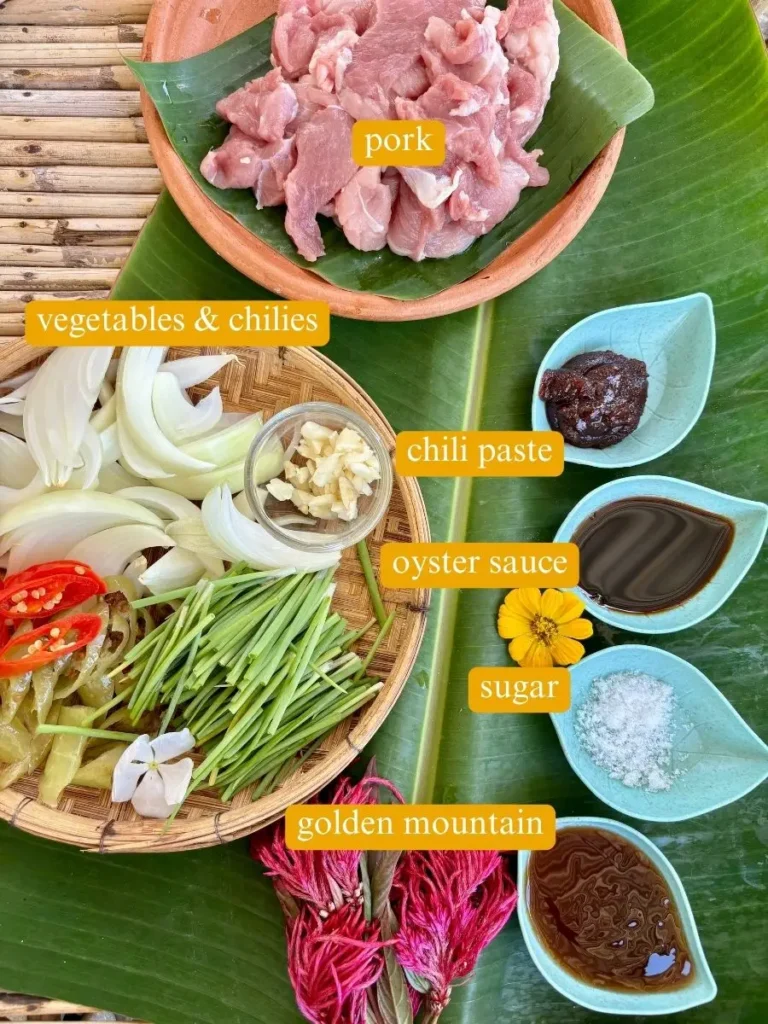 Top-view of ingredients for moo pad prik pao: sliced pork, chili paste, garlic, onion, chilies, green onions, oyster sauce, white sugar, and golden mountain sauce.