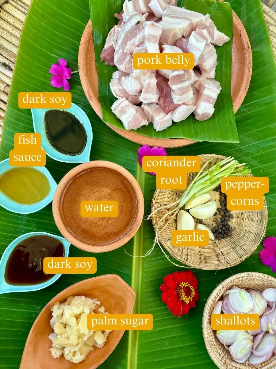 Top-view of ingredients for Thai sweet pork: pork belly, dark soy sauce, fish sauce, water, coriander root, black peppercorns, garlic, dark soy sauce, palm sugar, and shallots.