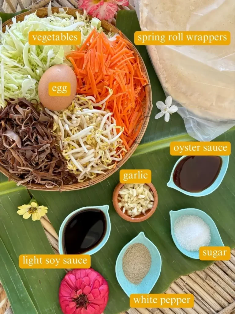 Top-view of ingredients for spring rolls: vegetables, spring roll wrappers, egg, oyster sauce, garlic, light soy sauce, white sugar, white pepper.