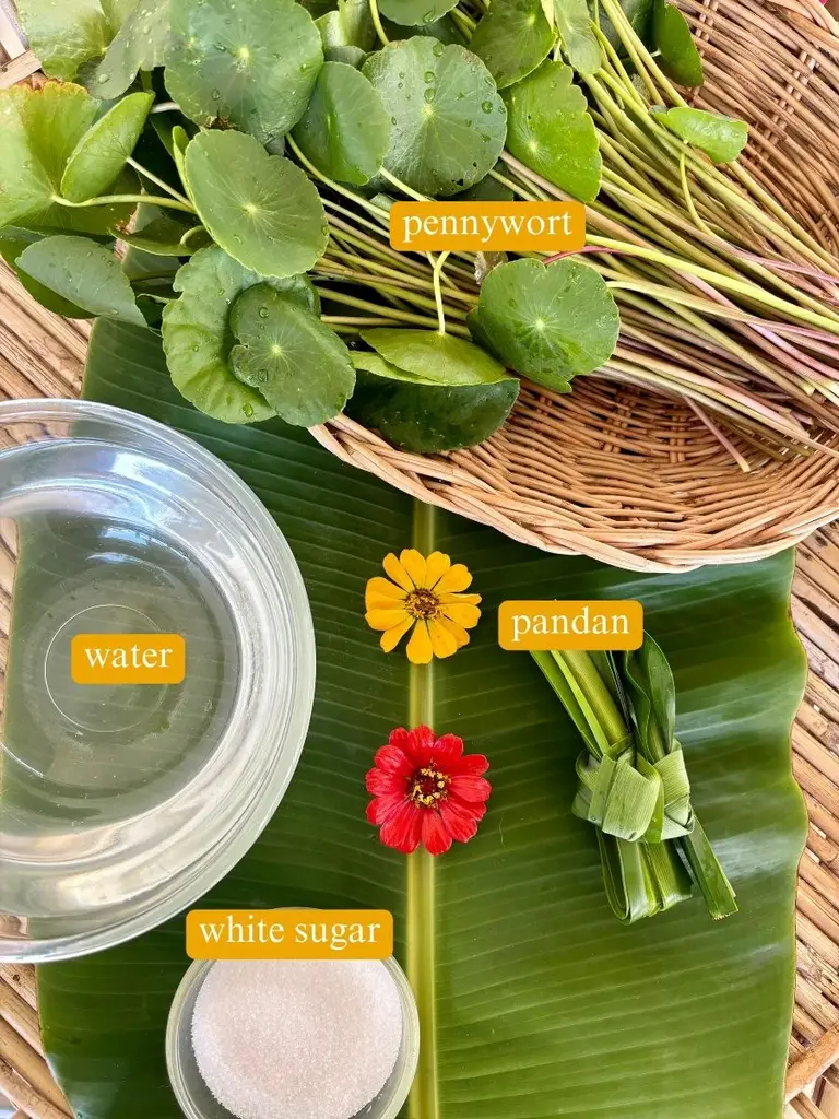 Ingredients for pennywort drink labeled: pennywort, water, pandan, and white sugar.