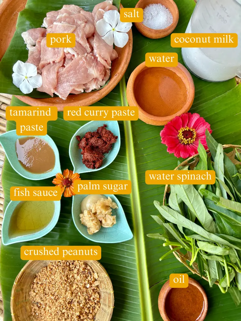 Ingredients for swimming rama labeled: salt, pork, coconut milk, water, red curry paste, tamarind paste, water spinach, palm sugar, fish sauce, crushed peanuts, and oil.