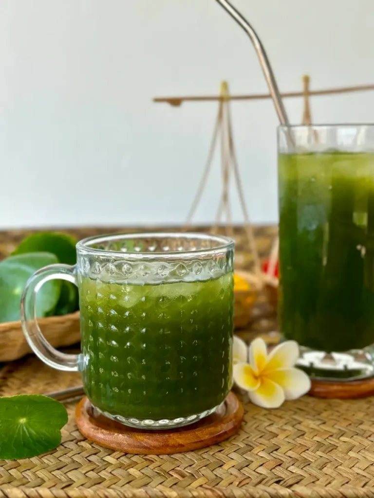 Asian Pennywort Drink Recipe