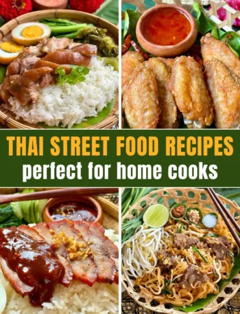 Collage of four Thai street food recipes, with pad Thai, pork over rice, fried chicken, and BBQ pork.