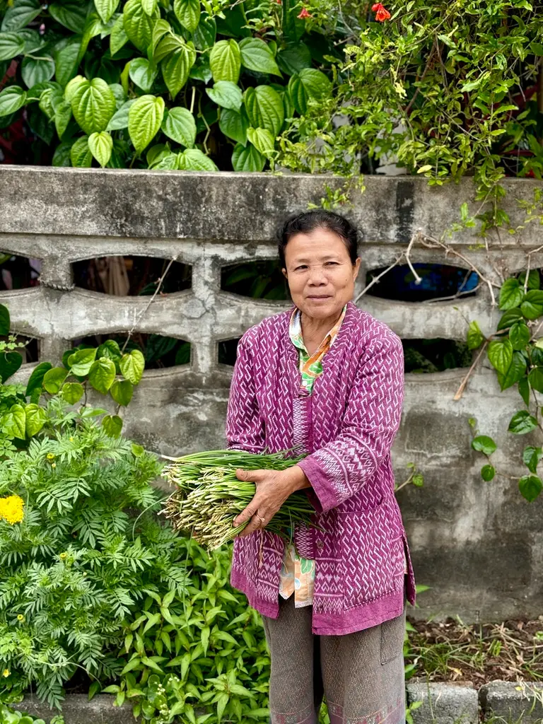 Thai woman holding a bunch of freshly harvested garlic chives in her garden.