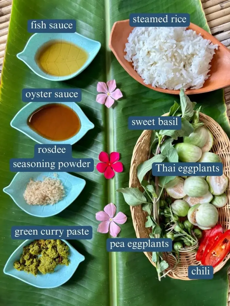 Ingredients for Thai green curry fried rice labeled: fish sauce, steamed rice, oyster sauce, sweet basil, rosdee seasoning powder, Thai eggplants, pea eggplants, green curry paste, and chili.
