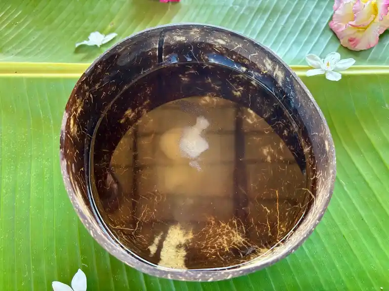 Fresh coconut water with agar agar powder in a natural coconut shell.