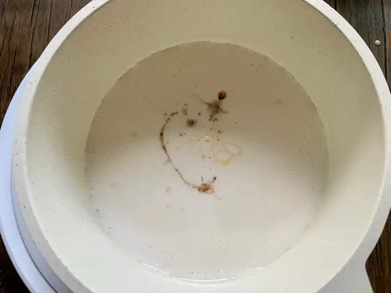 Coconut milk mixture with vanilla in a pot.