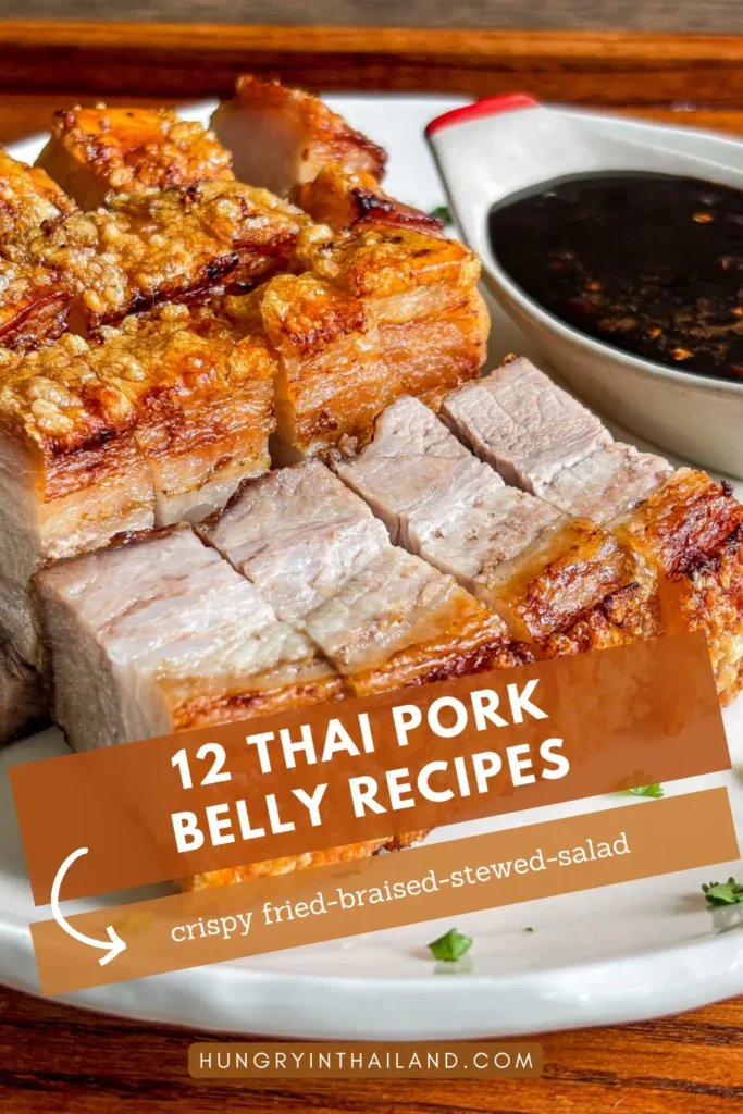 Crispy Thai pork belly served with dipping sauce, featuring a roundup of 12 authentic Thai pork belly recipes including fried, braised, stewed, and salad dishes.