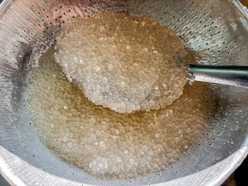 Fully cooked sago pearls drained in a metal sieve, revealing their clear, glossy, chewy texture.