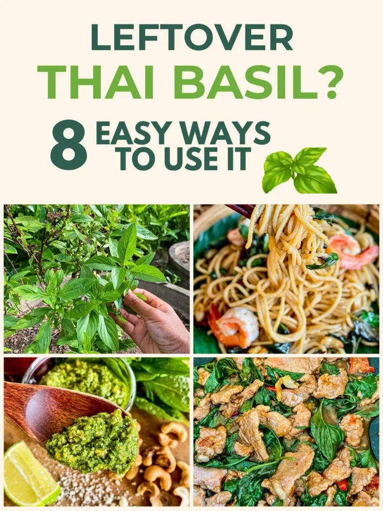 Thai basil collage showing easy ways to use leftovers like stir fry, noodles, and pesto.