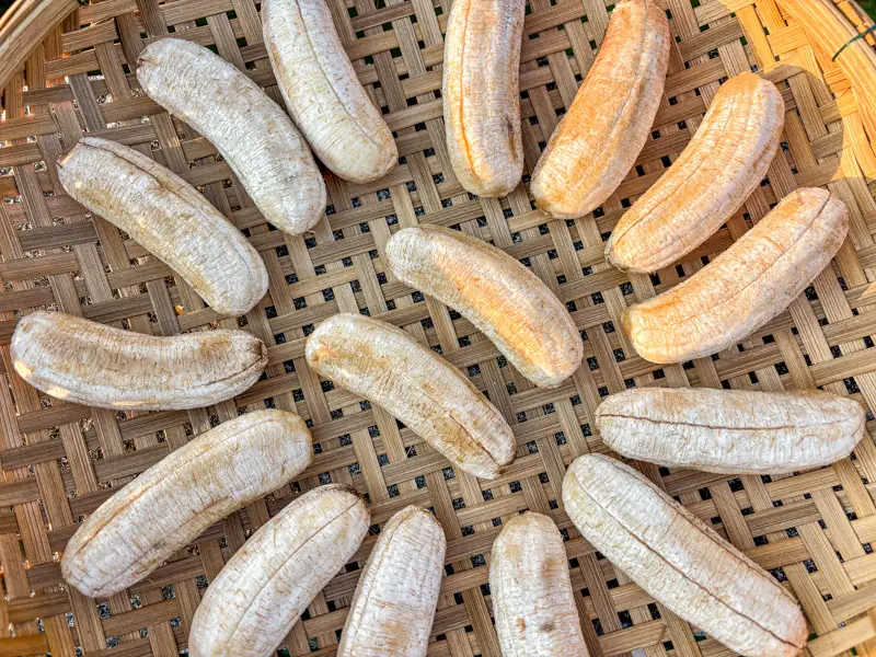 Bananas drying in the sun on a bamboo tray during the first stage.