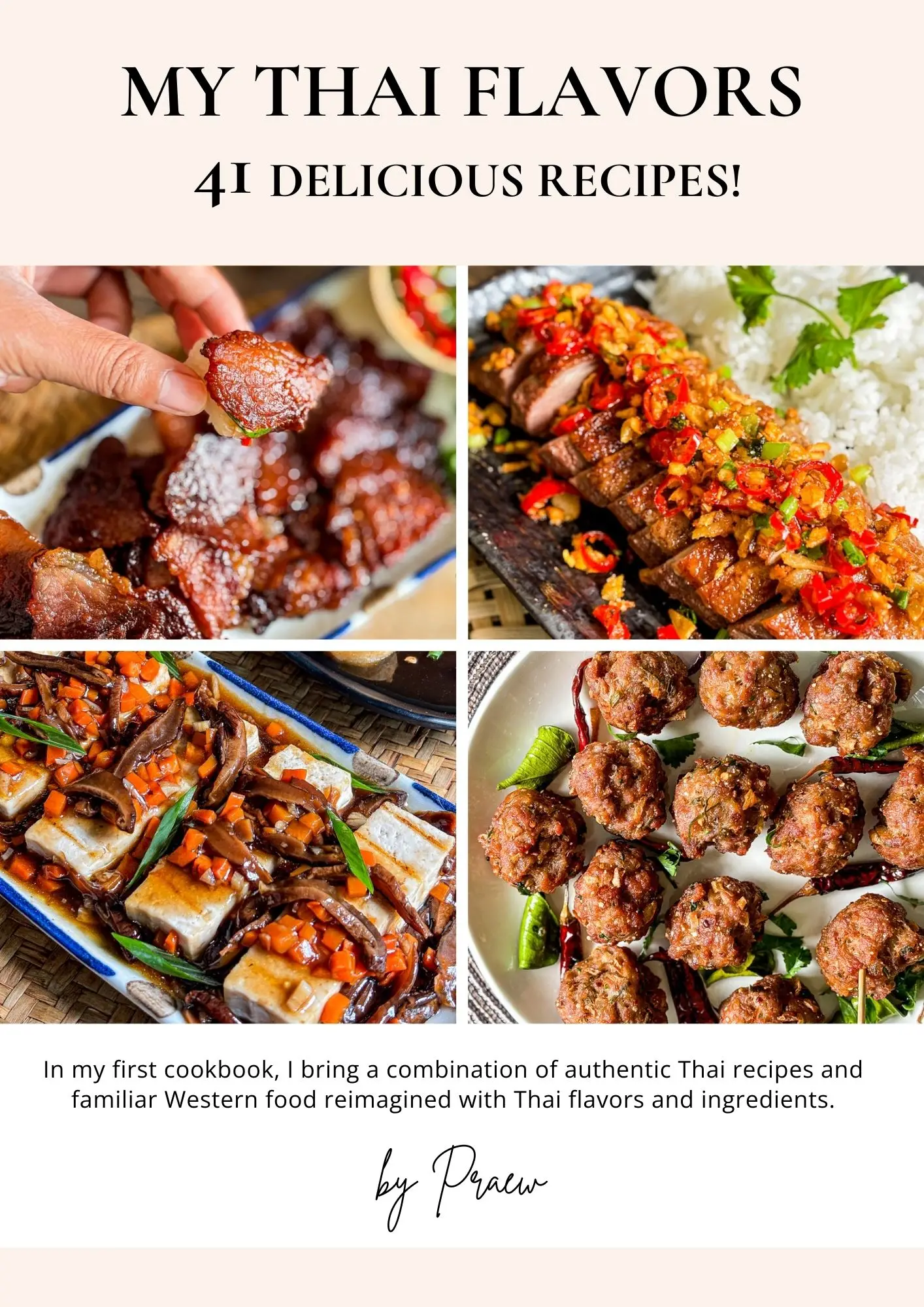 Front page of my Thai flavors, a digital Thai cookbook with 41 recipes, cooking tips, and personal stories.